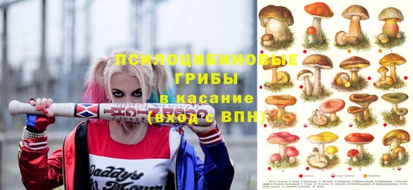 не бодяженный Дмитров