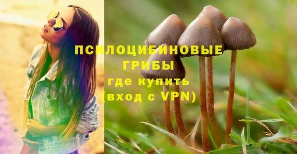 jwh Дмитриев