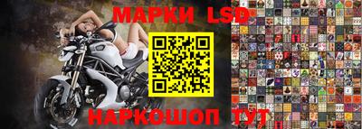 гидра Гагарин