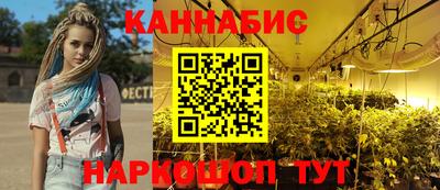 дмт Гай