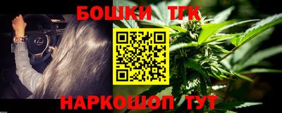 гидра Гагарин