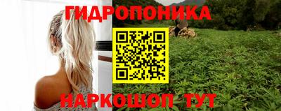 гидра Гагарин