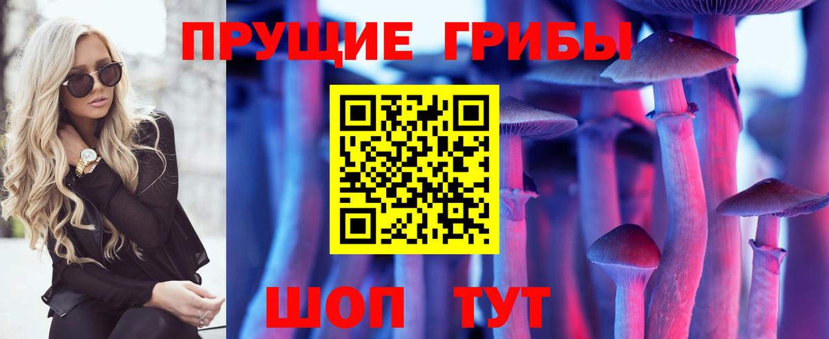 Ишим  Псилоцибиновые грибы мицелий  Вход с VPN 